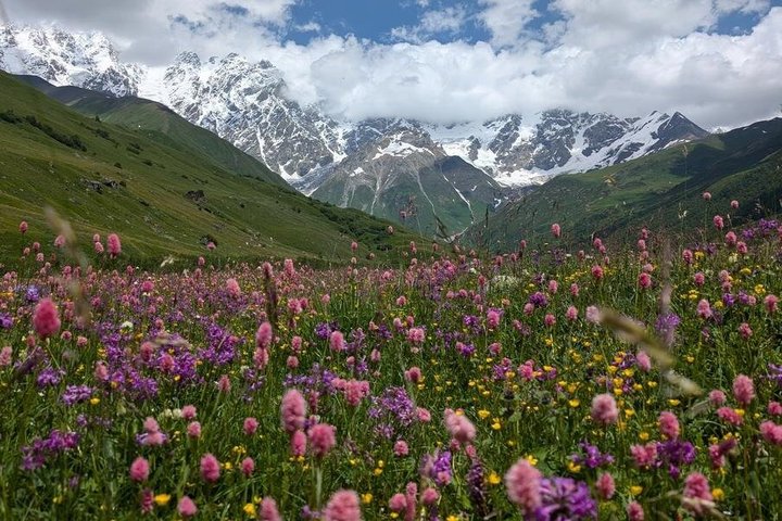 Private Day Tour from Kutaisi to Svaneti Zagar Pass and Ushguli