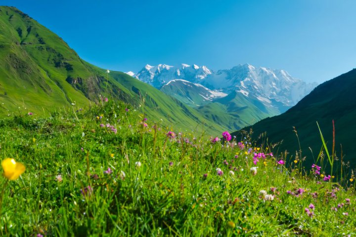 Private Day Tour from Kutaisi to Svaneti Zagar Pass and Ushguli