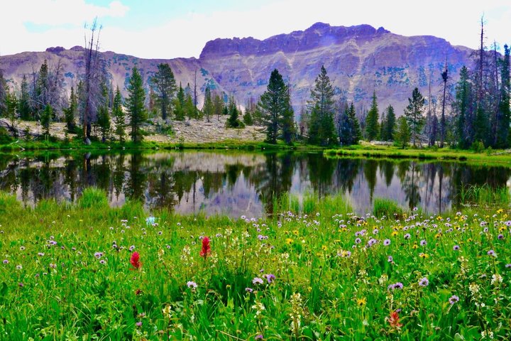 Mirror Lake & Uinta Mountains Half-Day Tour from Park City