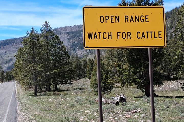 Mirror Lake & Uinta Mountains Half-Day Tour from Park City