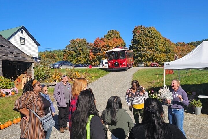1 Hour Narrated Burlington Trolley Tour