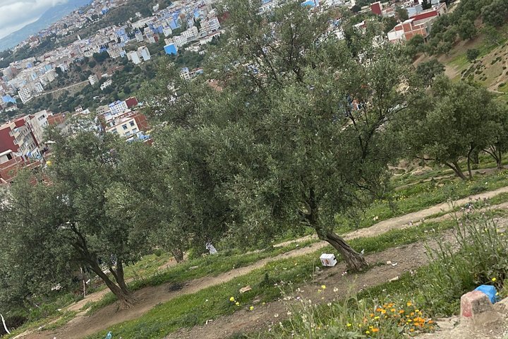 Chefchaouen 1 Day Tour from Rabat Discover the Blue City