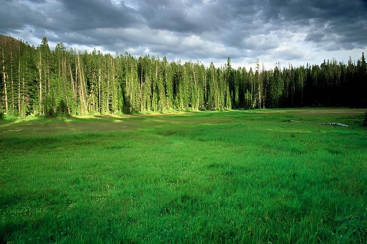 Mirror Lake & Uinta Mountains Half-Day Tour from Park City