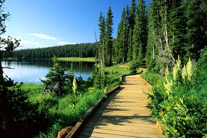 Mirror Lake & Uinta Mountains Half-Day Tour from Park City