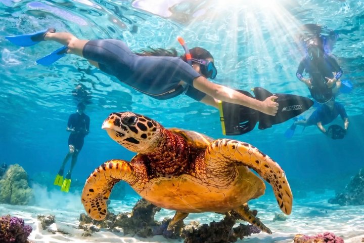 Sea Scooter Jet Snorkeling : Swim with Turtles, Rays & Sharks