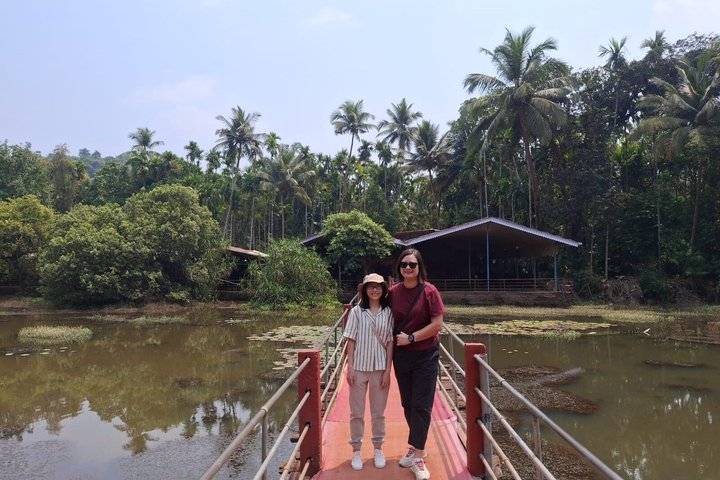 Discover the Treasures of Goa: A Full-Day Shore Excursion Tour