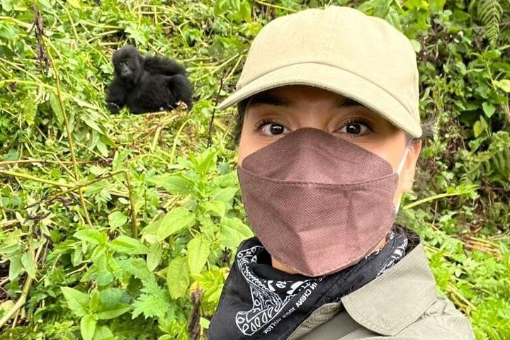 One Day Rwanda Gorilla Trekking with Dian Fossey or Guardians