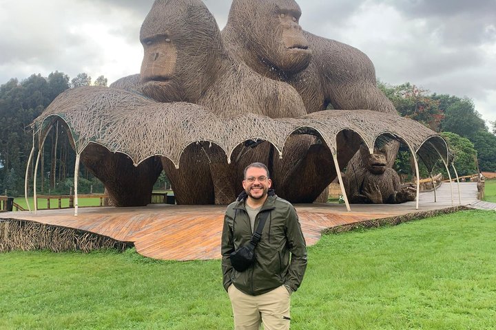 One Day Rwanda Gorilla Trekking with Dian Fossey or Guardians