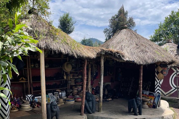 One Day Rwanda Gorilla Trekking with Dian Fossey or Guardians