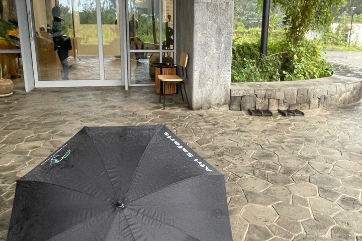 One Day Rwanda Gorilla Trekking with Dian Fossey or Guardians
