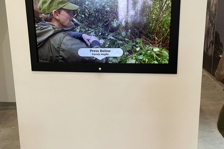 One Day Rwanda Gorilla Trekking with Dian Fossey or Guardians