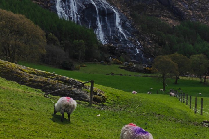 Ring of Beara Private Tour
