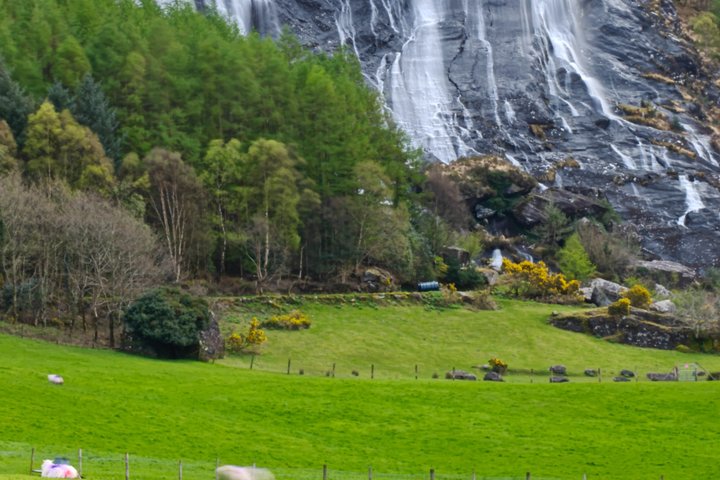 Ring of Beara Private Tour