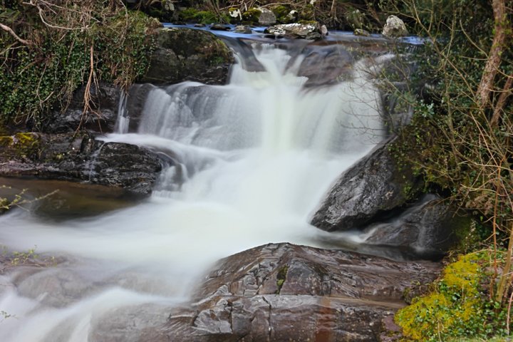 Ring of Beara Private Tour
