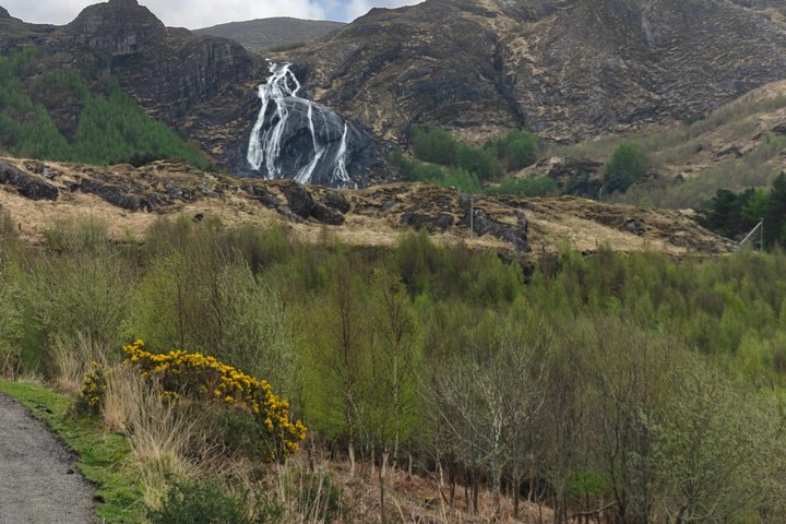 Ring of Beara Private Tour