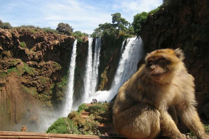 Ouzoud Waterfalls Day Trip from Marrakech with Boat Ride