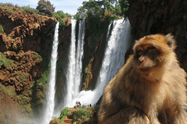 Ouzoud Waterfalls Day Trip from Marrakech with Boat Ride