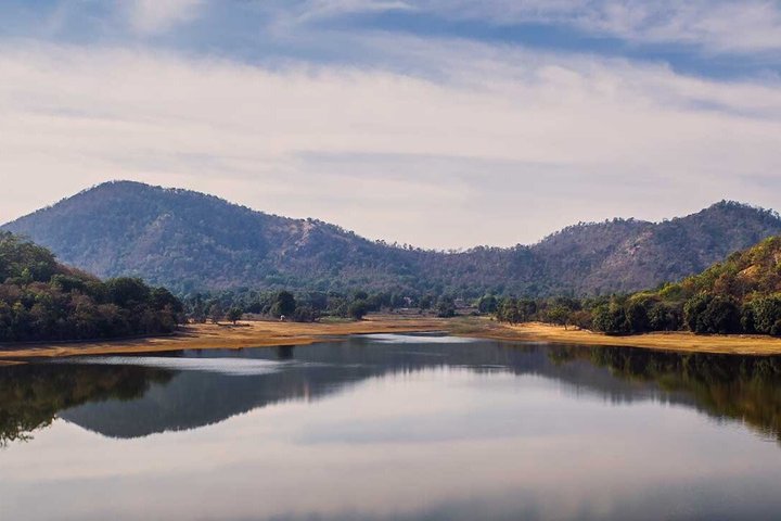 Jambughoda Wildlife & Tribal Tour from Vadodara