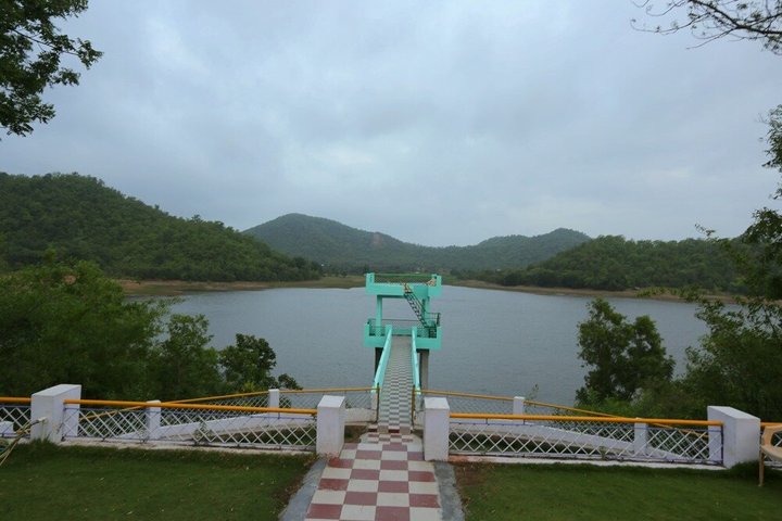 Jambughoda Wildlife & Tribal Tour from Vadodara