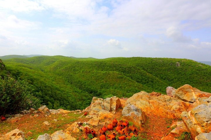 Jambughoda Wildlife & Tribal Tour from Vadodara