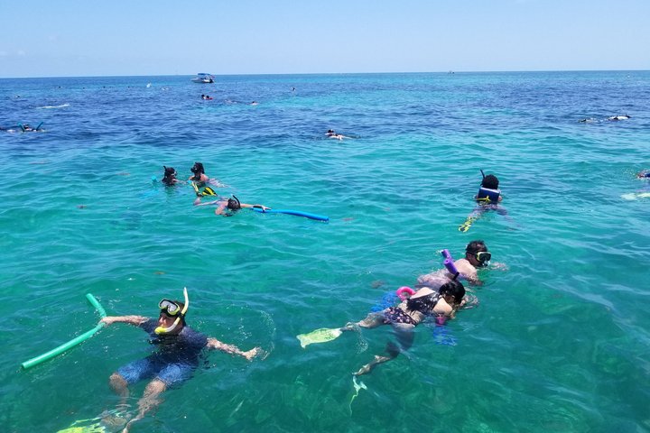 Islamorada's Original Snorkel & Sandbar Combo Tour