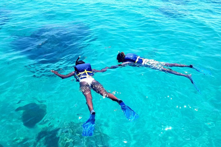 Islamorada's Original Snorkel & Sandbar Combo Tour