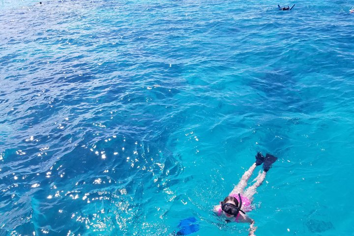Islamorada's Original Snorkel & Sandbar Combo Tour