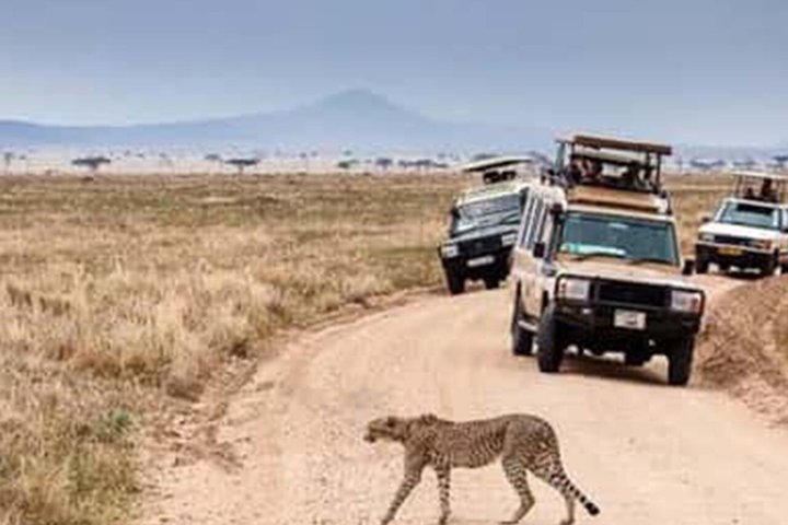 Tanzania Wildlife Safari 3 Day Tour Tarangire and Ngorongoro