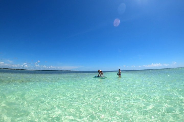 Islamorada's Original Snorkel & Sandbar Combo Tour