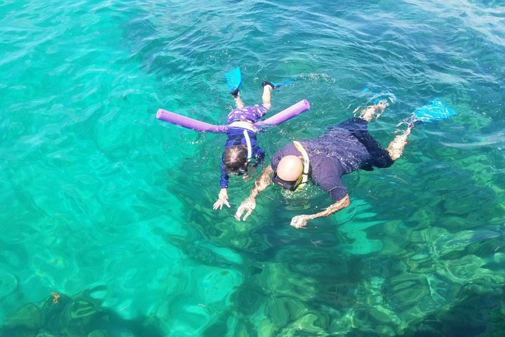 Islamorada's Original Snorkel & Sandbar Combo Tour