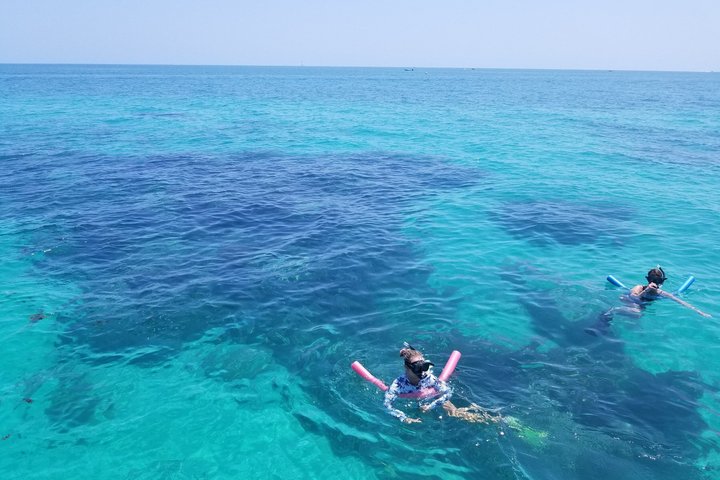 Islamorada's Original Snorkel & Sandbar Combo Tour