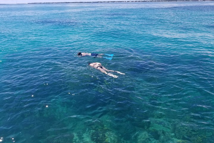 Islamorada's Original Snorkel & Sandbar Combo Tour