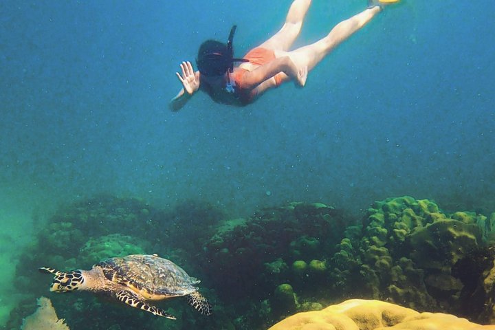 Islamorada's Original Snorkel & Sandbar Combo Tour