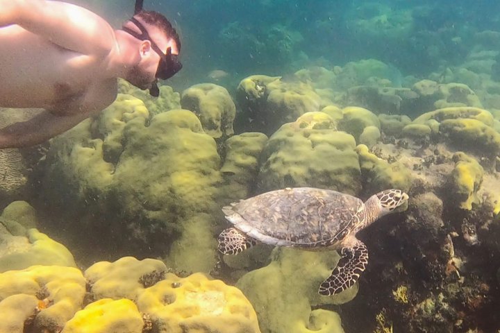 Islamorada's Original Snorkel & Sandbar Combo Tour