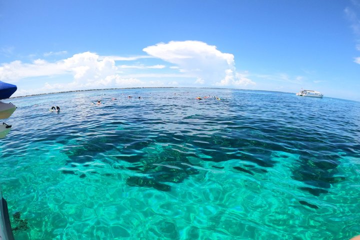 Islamorada's Original Snorkel & Sandbar Combo Tour