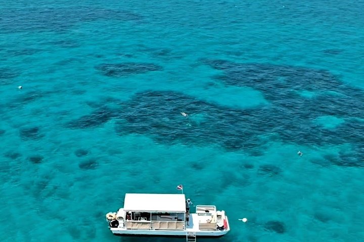 Islamorada's Original Snorkel & Sandbar Combo Tour