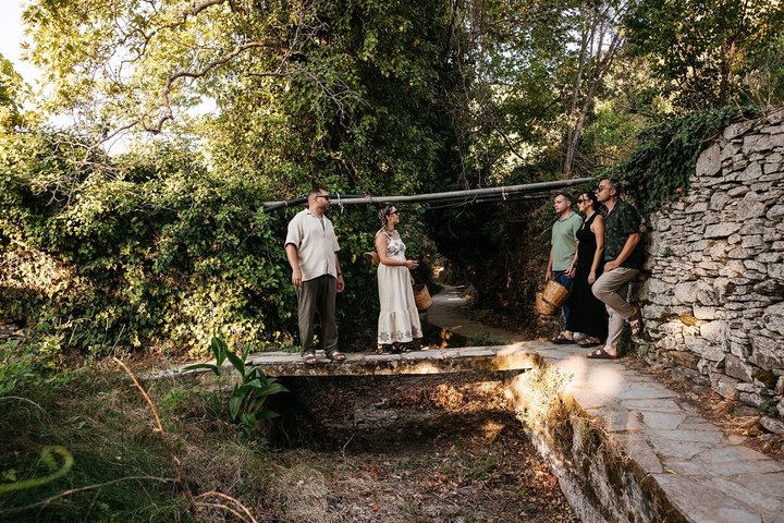 Naxos:Half-day cooking class at Basiliko Farm