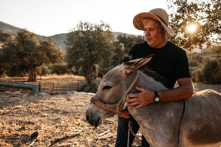 Naxos:Half-day cooking class at Basiliko Farm
