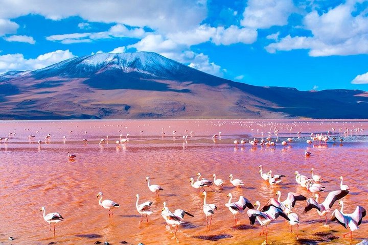 Uyuni Salt Flats 3-day tour, ending in San Pedro de Atacama