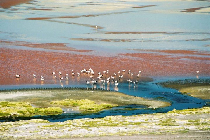 Uyuni Salt Flats 3-day tour, ending in San Pedro de Atacama