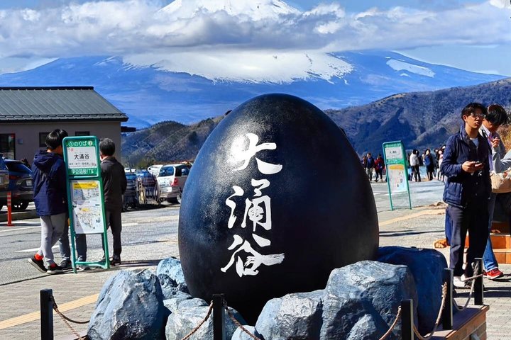 Mount Fuji and Hakone Private Tour from Tokyo With Driver Guide