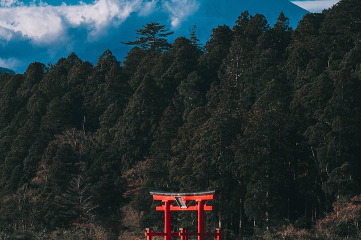 Mount Fuji and Hakone Private Tour from Tokyo With Driver Guide