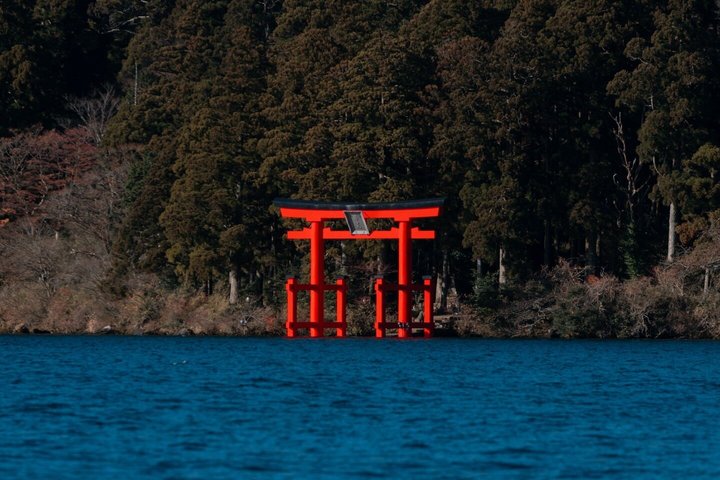 Mount Fuji and Hakone Private Tour from Tokyo With Driver Guide