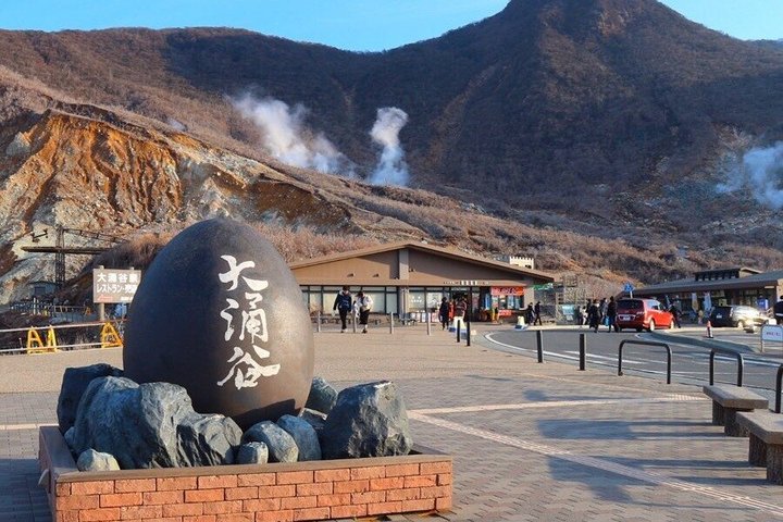 Mount Fuji and Hakone Private Tour from Tokyo With Driver Guide