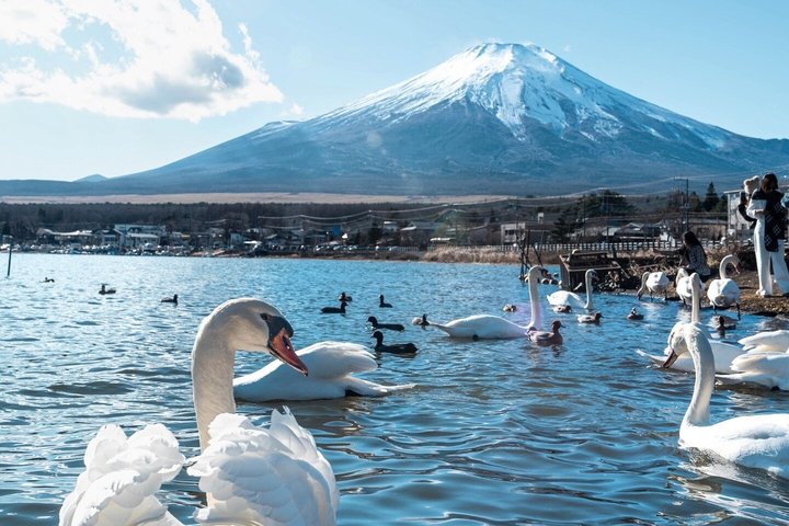 Mount Fuji and Hakone Private Tour from Tokyo With Driver Guide