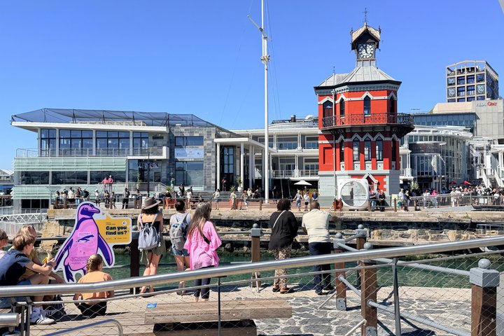 Table Mountain and Robben Island Tour with Pre Booked Tickets