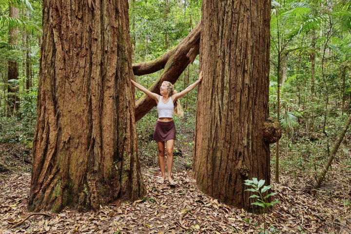 K'gari (Fraser Island) Day Tour - From Rainbow Beach