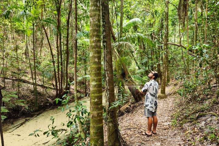 K'gari (Fraser Island) Day Tour - From Rainbow Beach