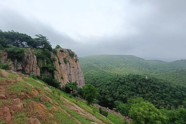 Jambughoda Wildlife & Tribal Tour from Vadodara