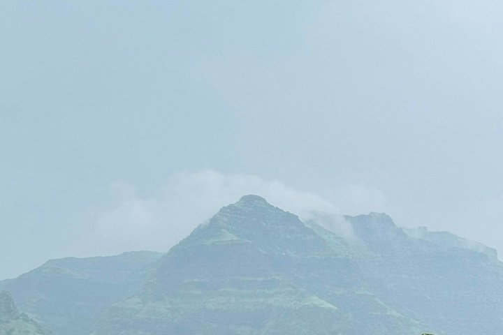 Jambughoda Wildlife & Tribal Tour from Vadodara